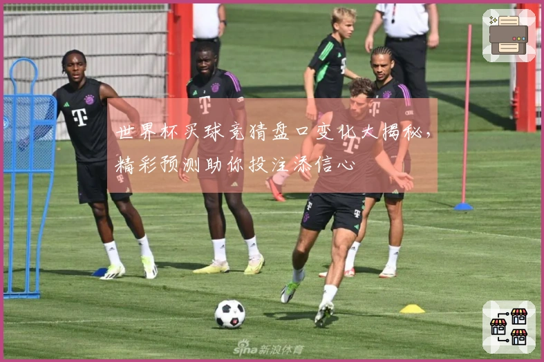 世界杯买球竞猜盘口变化大揭秘，精彩预测助你投注添信心