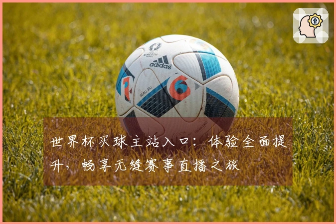 世界杯买球主站入口：体验全面提升，畅享无缝赛事直播之旅