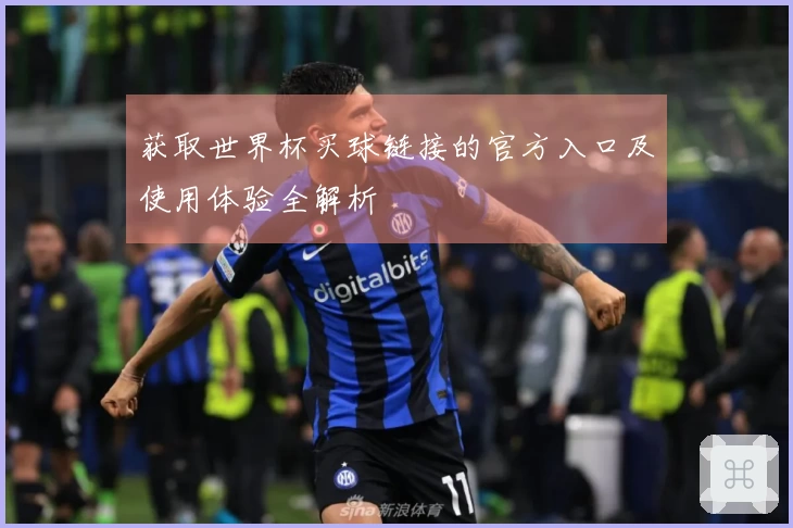 获取世界杯买球链接的官方入口及使用体验全解析