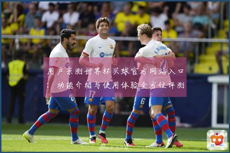 用户亲测世界杯买球官方网站入口：功能介绍与使用体验全方位评测