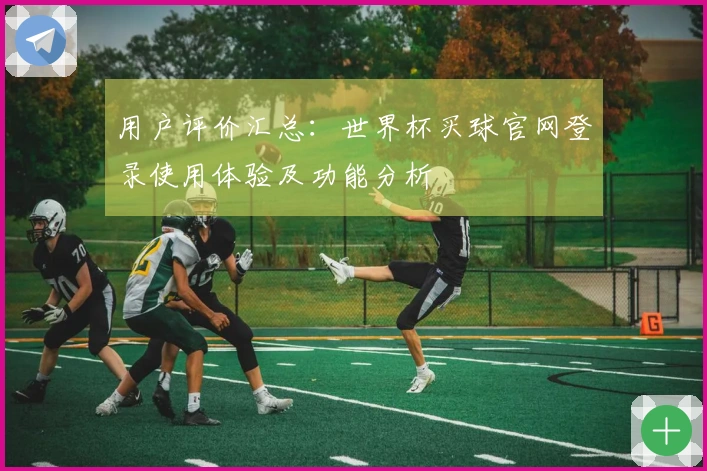 用户评价汇总：世界杯买球官网登录使用体验及功能分析