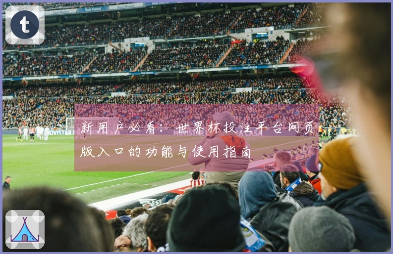 新用户必看：世界杯投注平台网页版入口的功能与使用指南