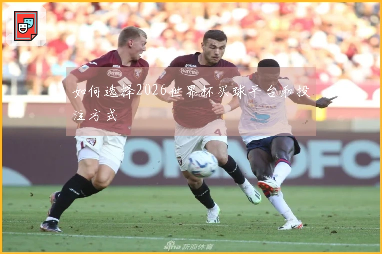 如何选择2026世界杯买球平台和投注方式