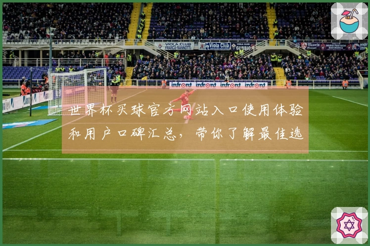 世界杯买球官方网站入口使用体验和用户口碑汇总，带你了解最佳选择