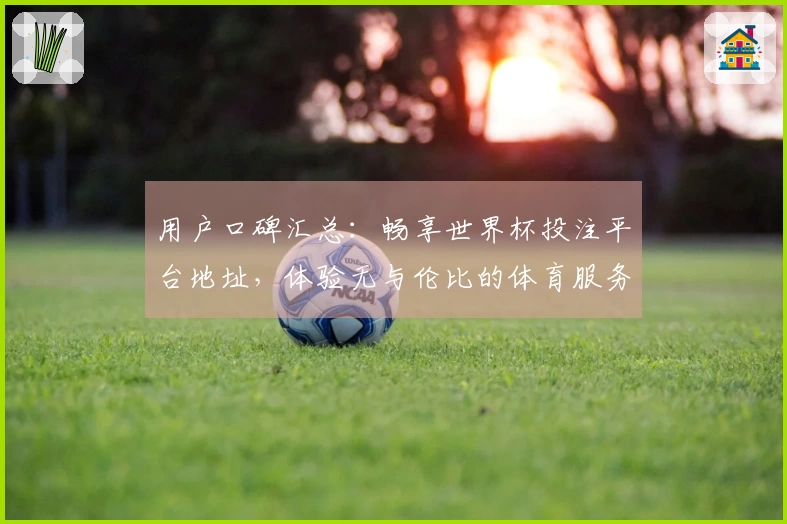 用户口碑汇总：畅享世界杯投注平台地址，体验无与伦比的体育服务