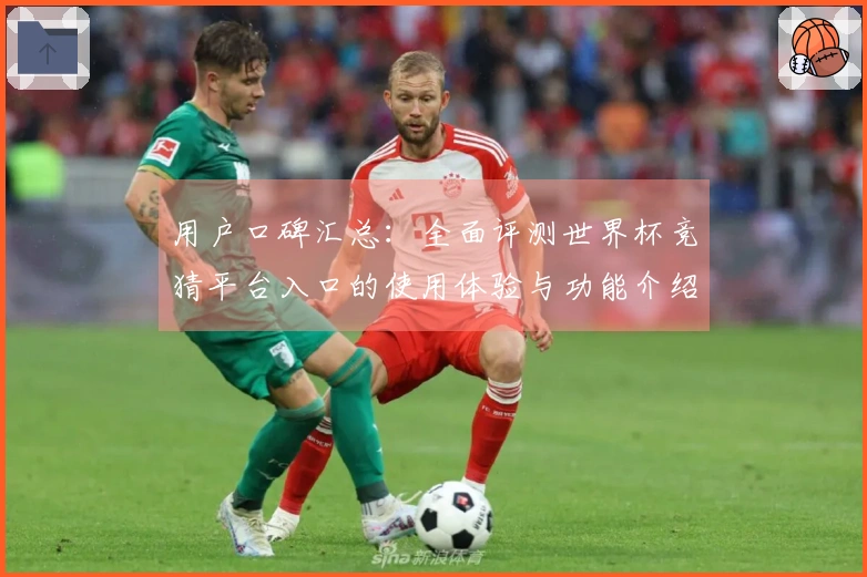 用户口碑汇总：全面评测世界杯竞猜平台入口的使用体验与功能介绍