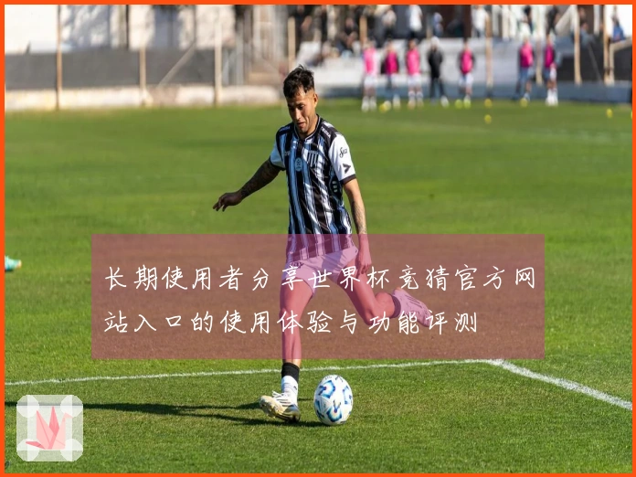 长期使用者分享世界杯竞猜官方网站入口的使用体验与功能评测