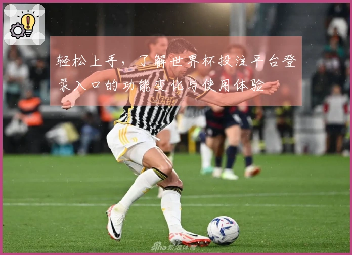 轻松上手，了解世界杯投注平台登录入口的功能变化与使用体验