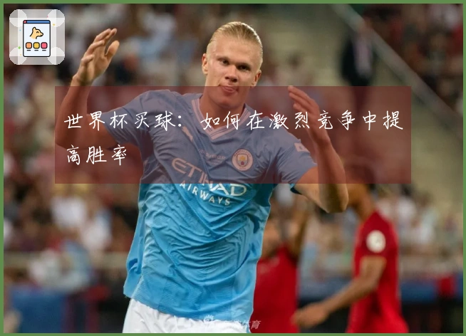 世界杯买球：如何在激烈竞争中提高胜率