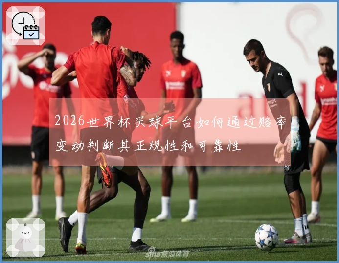 2026世界杯买球平台如何通过赔率变动判断其正规性和可靠性