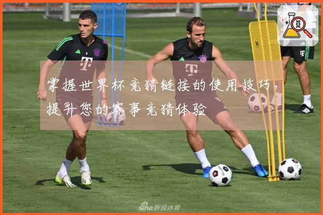 掌握世界杯竞猜链接的使用技巧，提升您的赛事竞猜体验