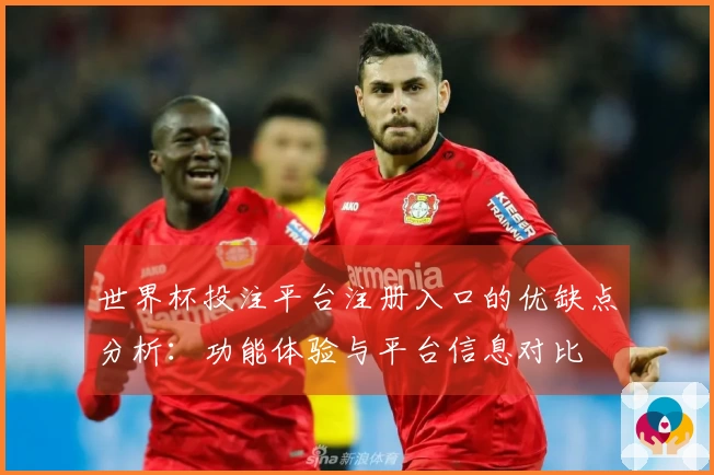 世界杯投注平台注册入口的优缺点分析:功能体验与平台信息对比